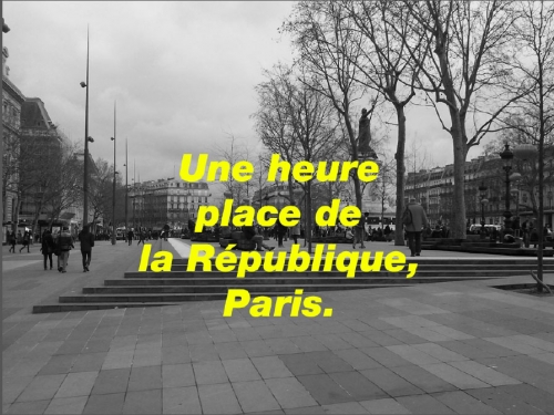 RAID Occupy Republique