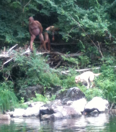 Rivière Aveyron 2013. En attendant le carré blanc du design, allongés sur la pla