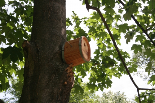 La cabane des jardins familiaux stéphanois