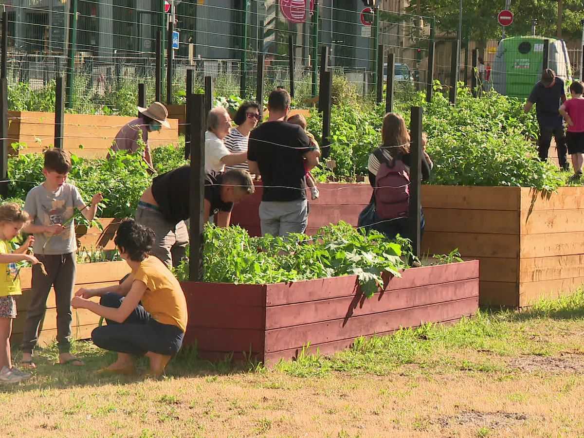 Les jardins partagés - Ville de Paris